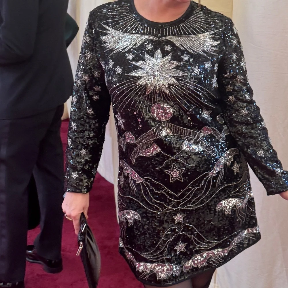 All Saints Noushka black and silver sequins mini dress size 6 - Picture 11 of 11